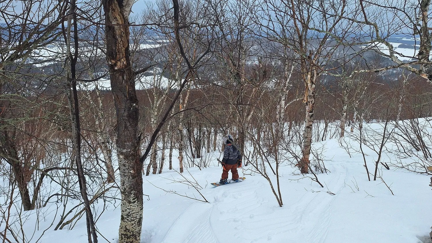 Burton Touch-N-Go innerhandskar True Black M tunn