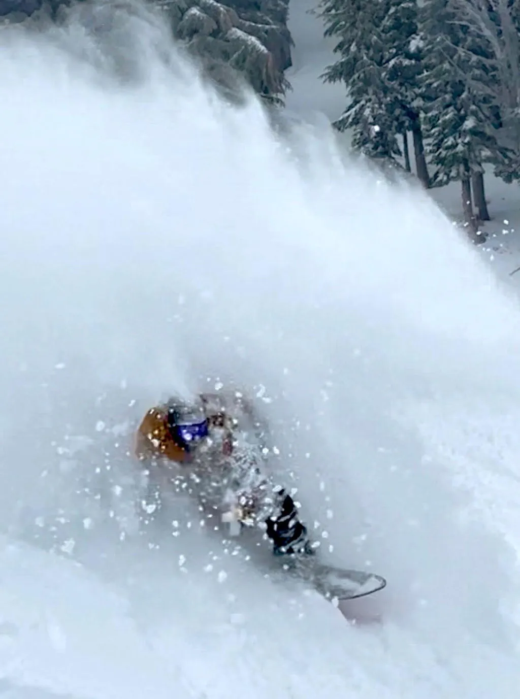 Jones Storm Chaser 147 Snowboard puder swallowtail