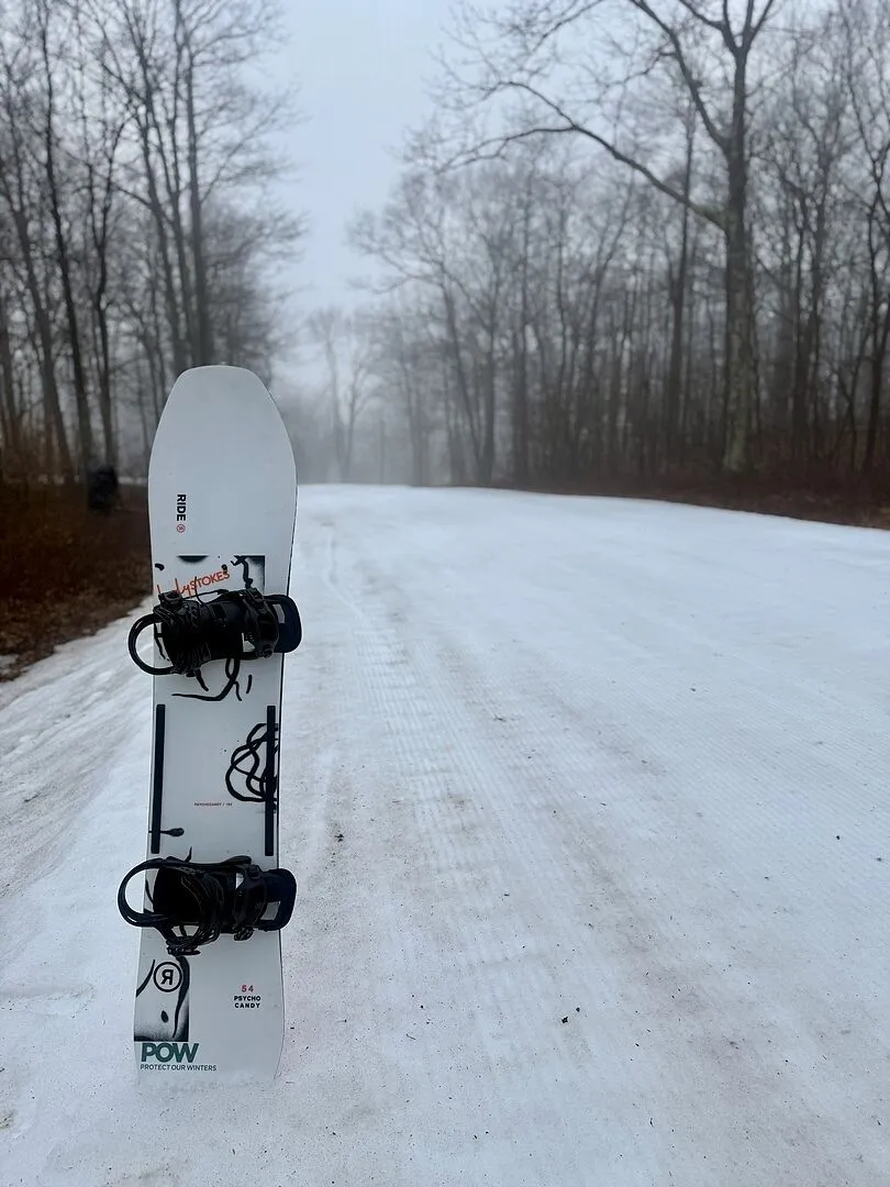 Burton Cartel snowboardbindningar Gray Green Voltage