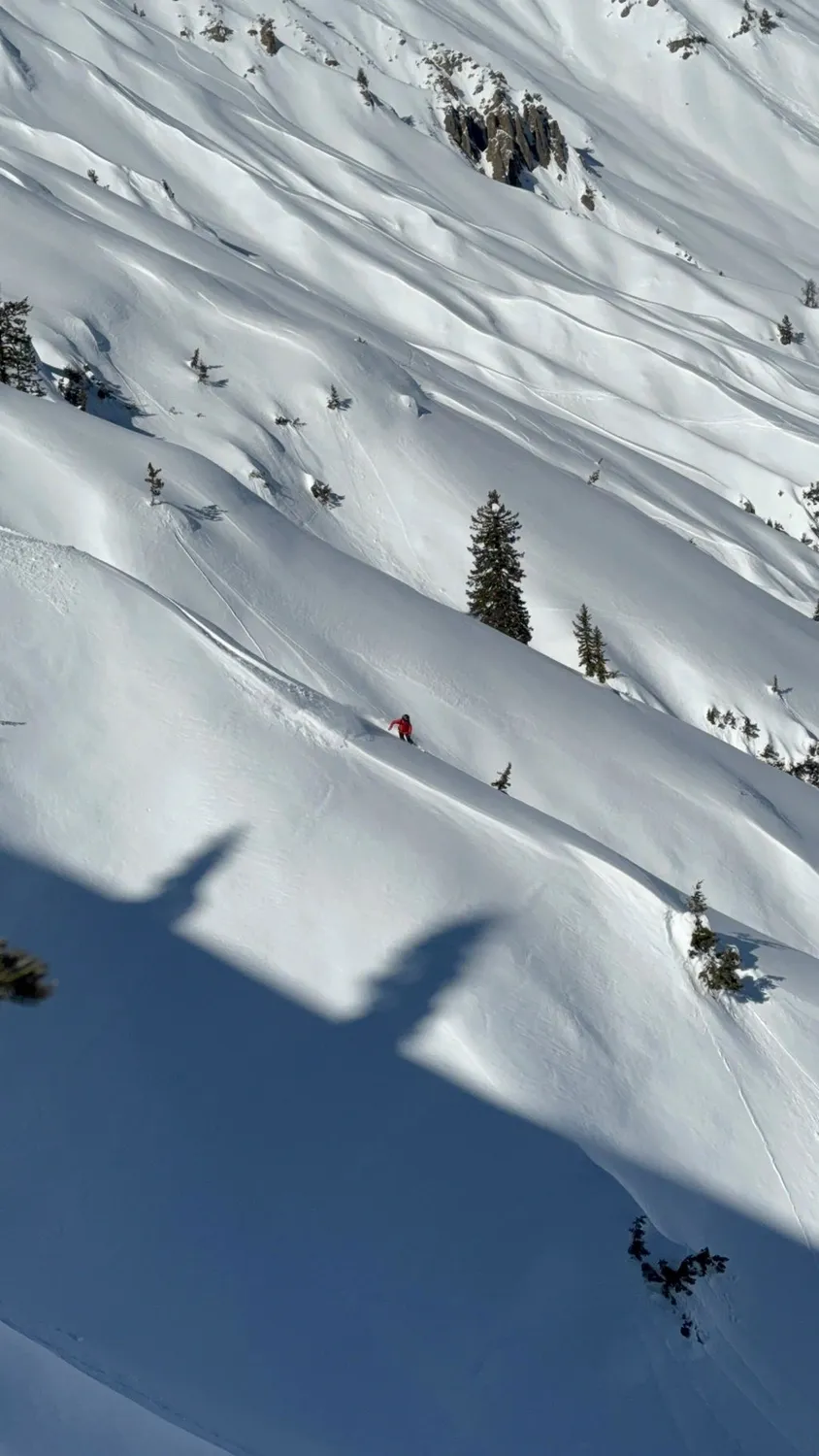 Jones Stratos splitboard herr 159 puderprofil