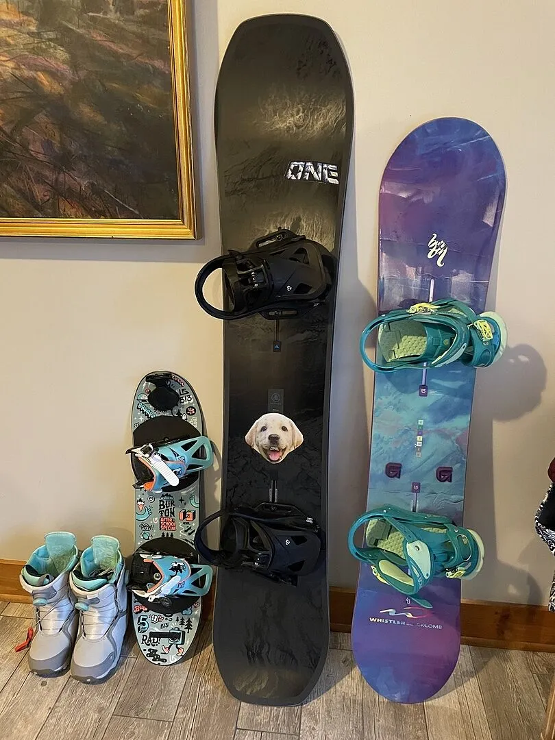 Burton Family Tree Hometown Hero snowboard Earth camber 156