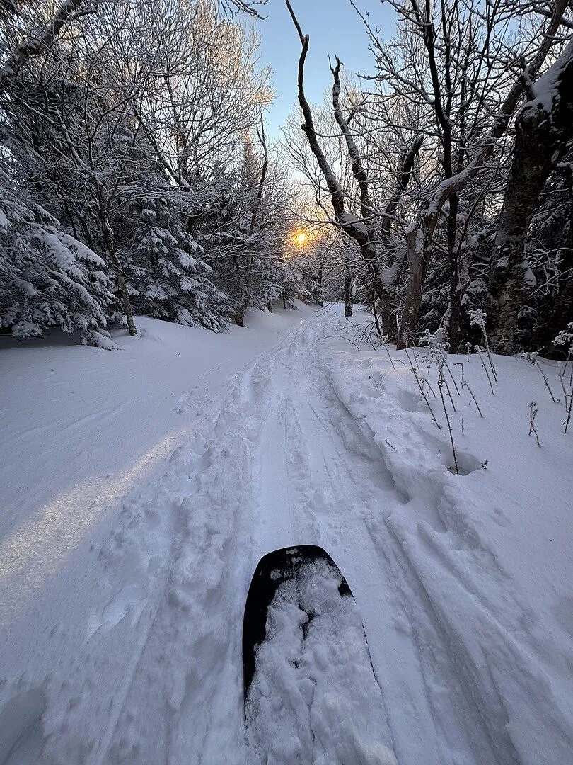 Burton Family Tree Hometown Hero splitboard svart/vit