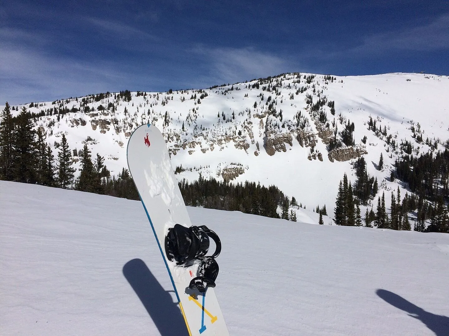 Burton Driver X snowboardboots herr svart styv respons