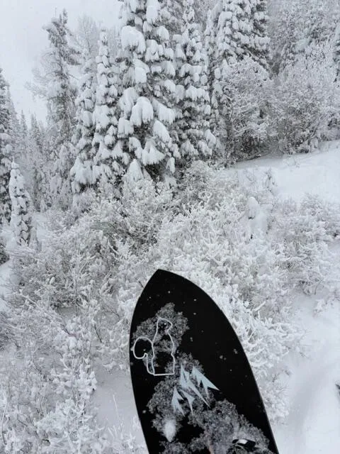 Jones Storm Chaser 147 Snowboard puder swallowtail
