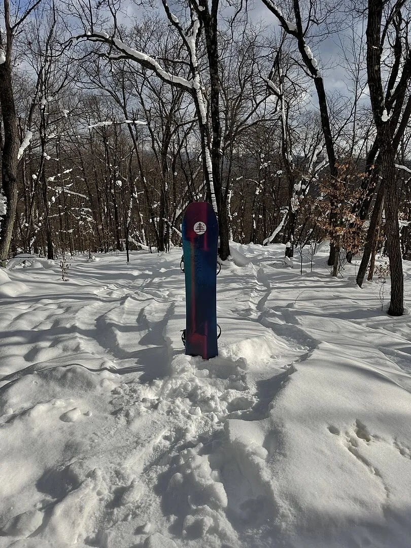 Burton Family Tree High Fidelity snowboard Graphic 162