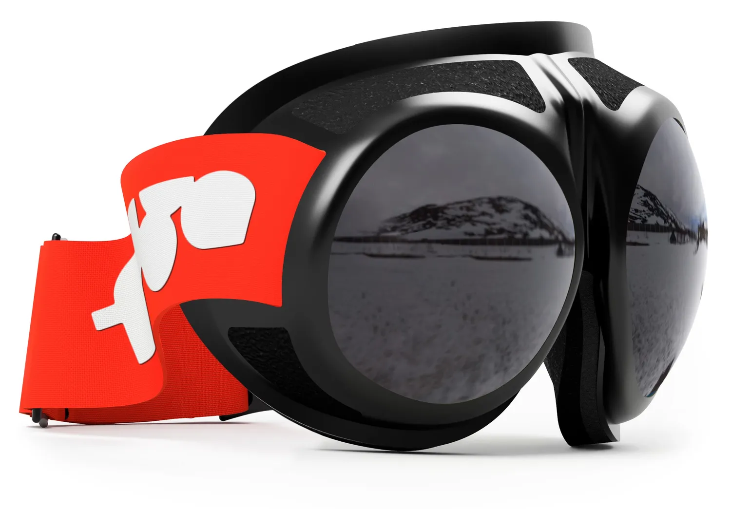 Rovfluga Goggles skidglasögon grå lins allround