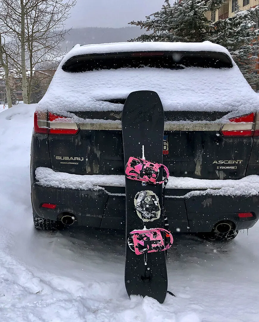 Burton Family Tree Hometown Hero snowboard Earth camber 156