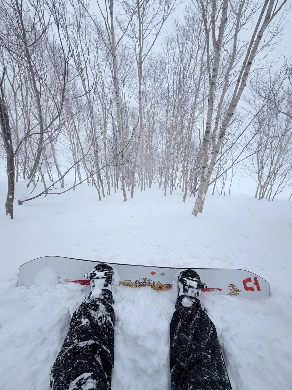 Jones Tweaker snowboard 146 dam 2026 camber