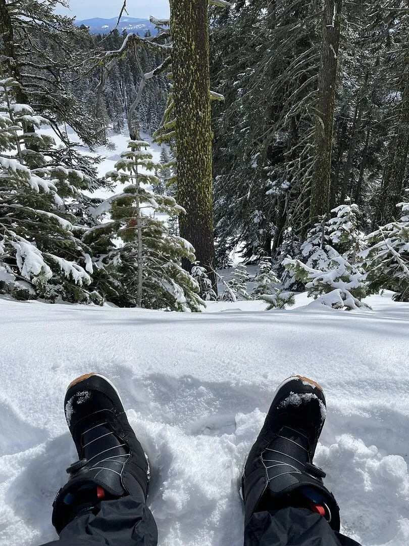 Burton Felix BOA snowboardboots dam Nightshade Purple