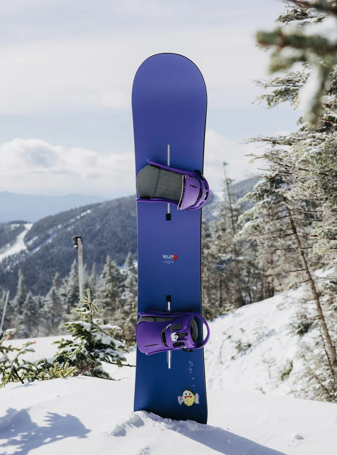 Burton Blossom Camber snowboard Dragon kolförstärkt 158