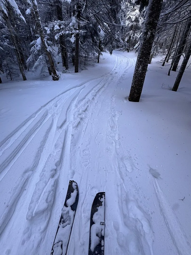 Burton Family Tree Hometown Hero splitboard svart/vit