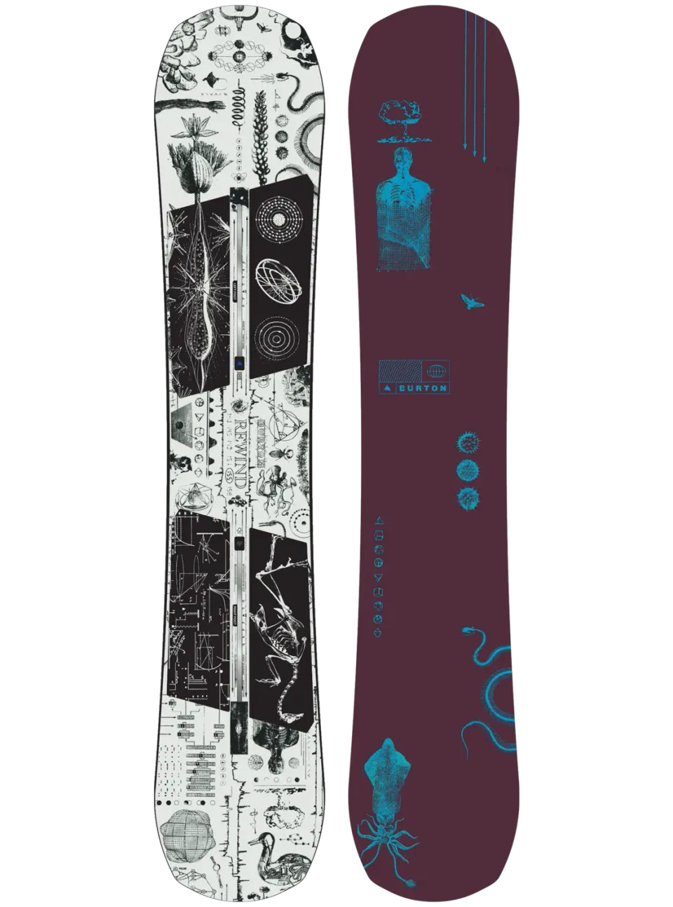 Burton Rewind Camber snowboard 155 poppig