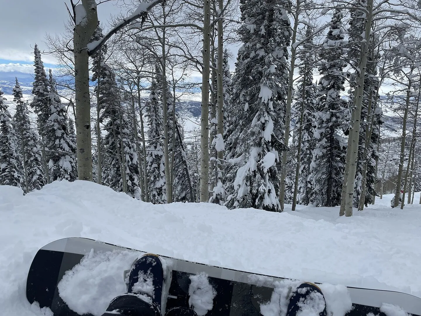 Burton Cartographer snowboard 154 camber medium