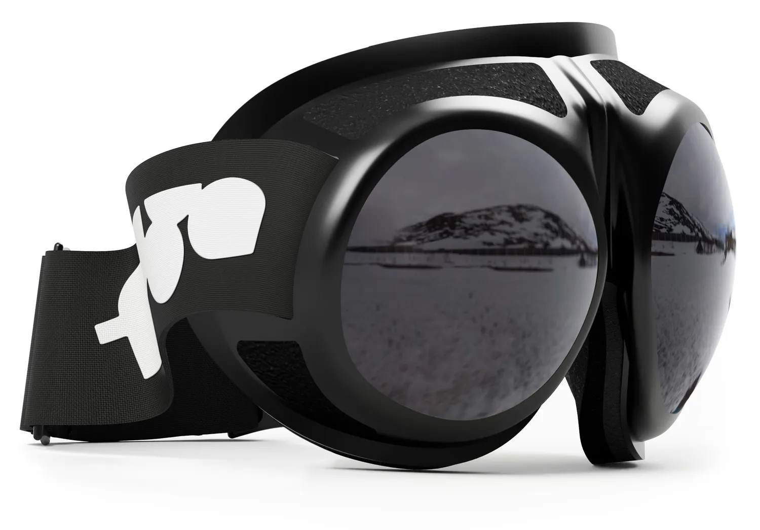 Rovfluga Goggles skidglasögon grå lins allround