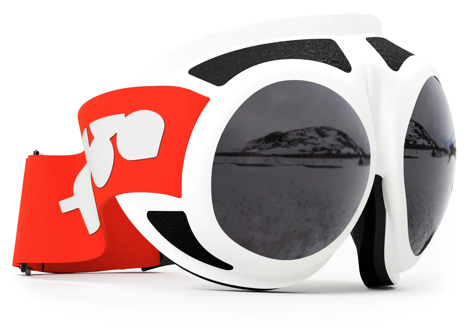 Rovfluga Goggles skidglasögon grå lins allround