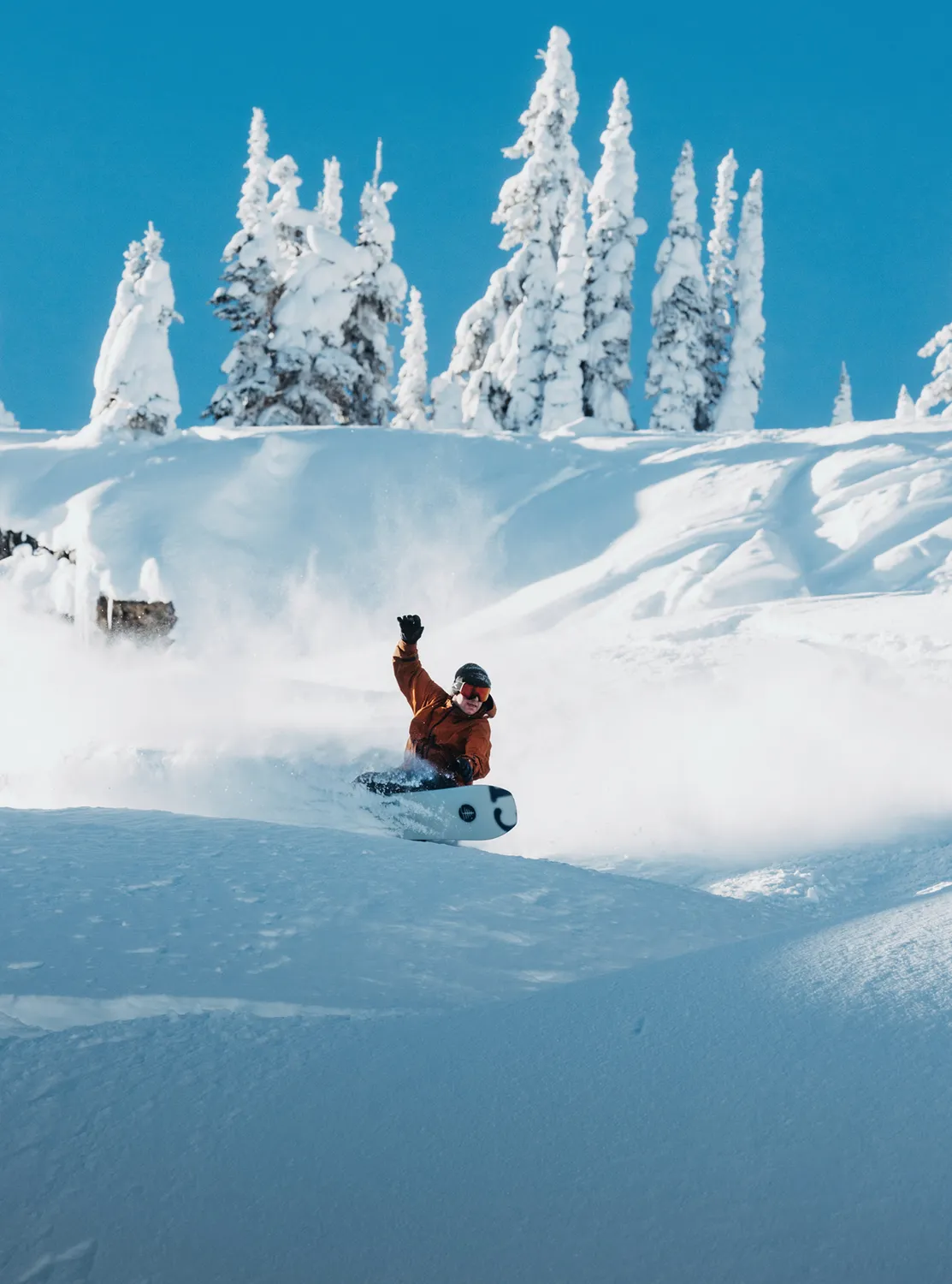 Burton Family Tree Hometown Hero snowboard Earth camber 156