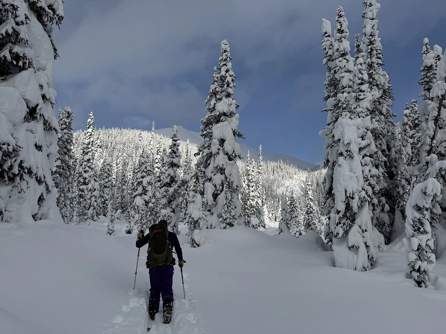 Burton Family Tree Hometown Hero splitboard svart/vit