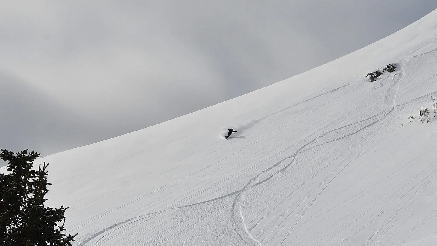 Burton Genesis snowboardbindning svart mjuk dämpad rembindning