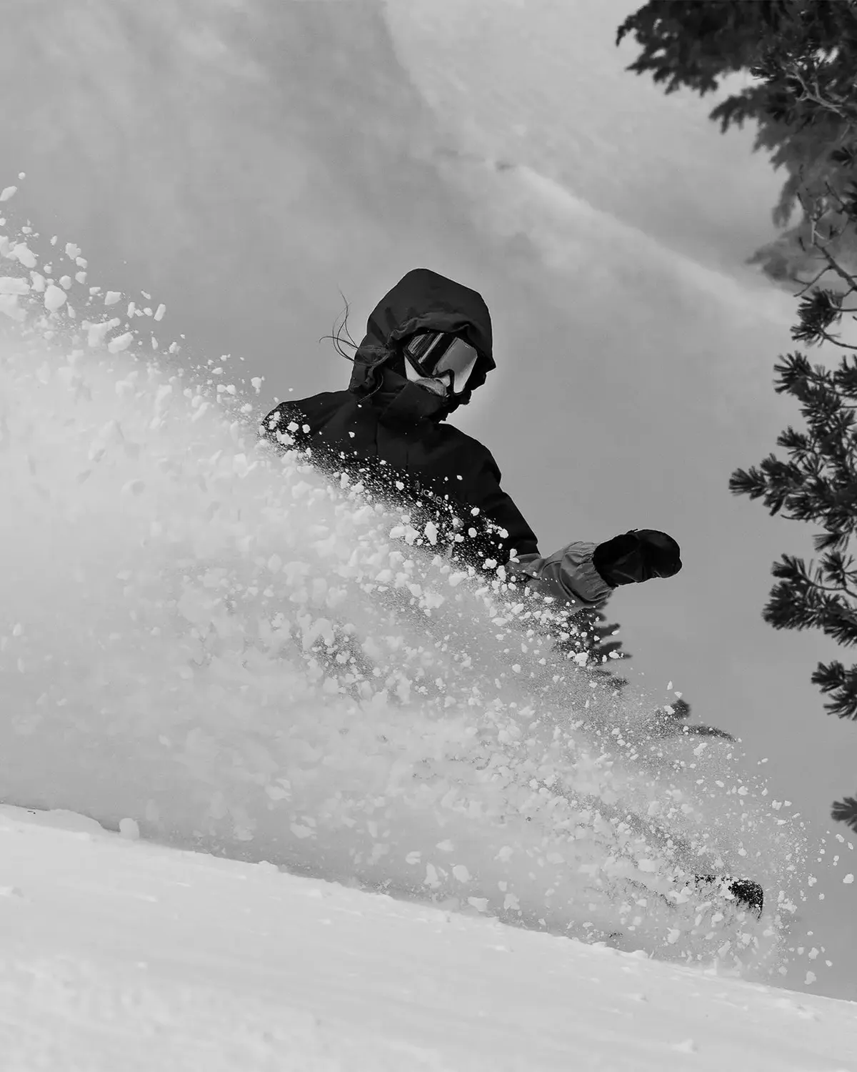 Jones Stratos splitboard dam 149 puderprofil