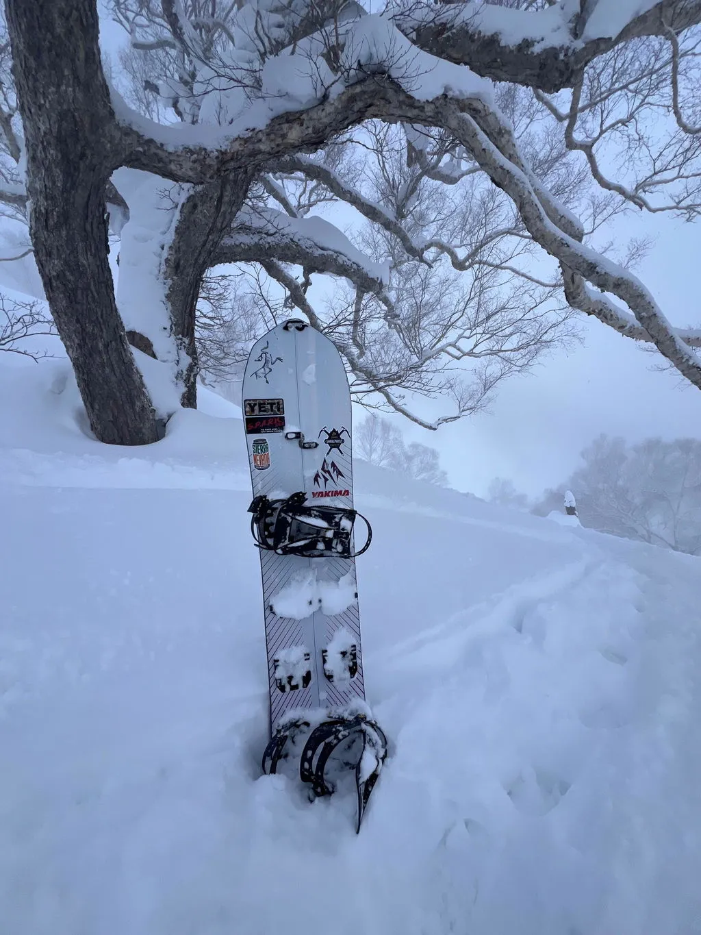 Jones Stratos splitboard herr 159 puderprofil