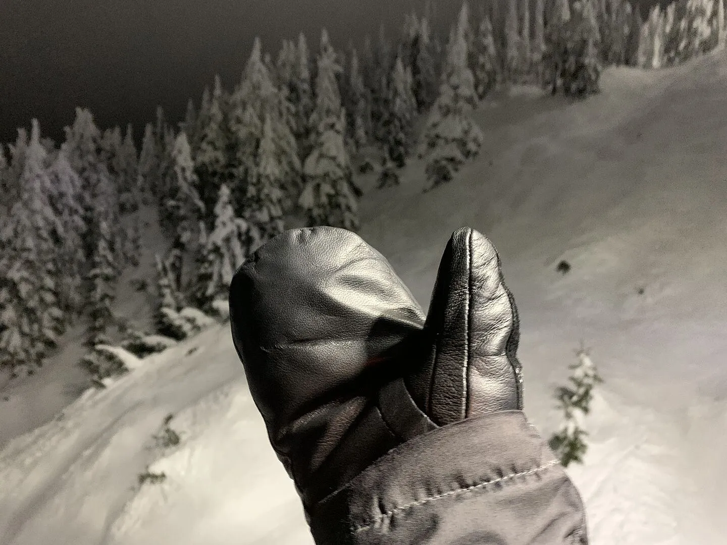 Burton Gondy GORE-TEX lädervantar dam svart