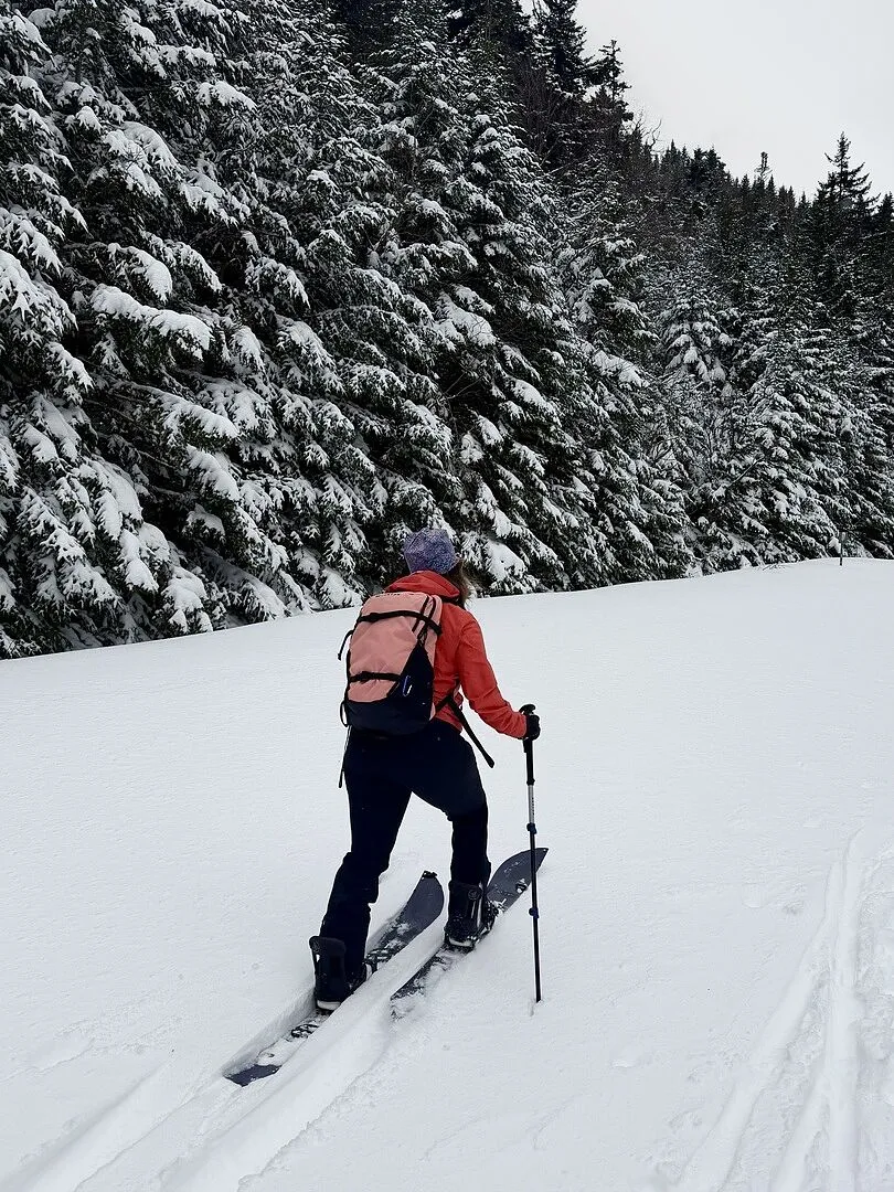 Burton Day Hiker 22L ryggsäck Atlantic Teal
