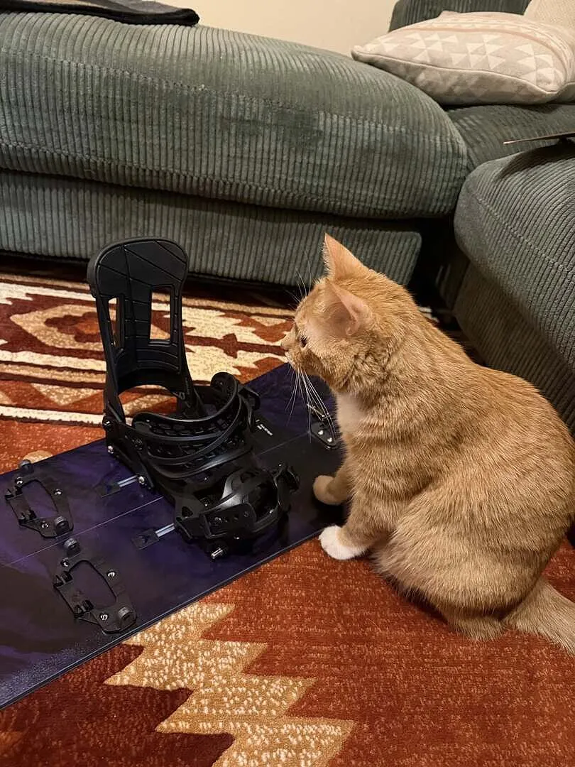 Burton Hitchhiker splitboardbindning Black snabb lägesväxling