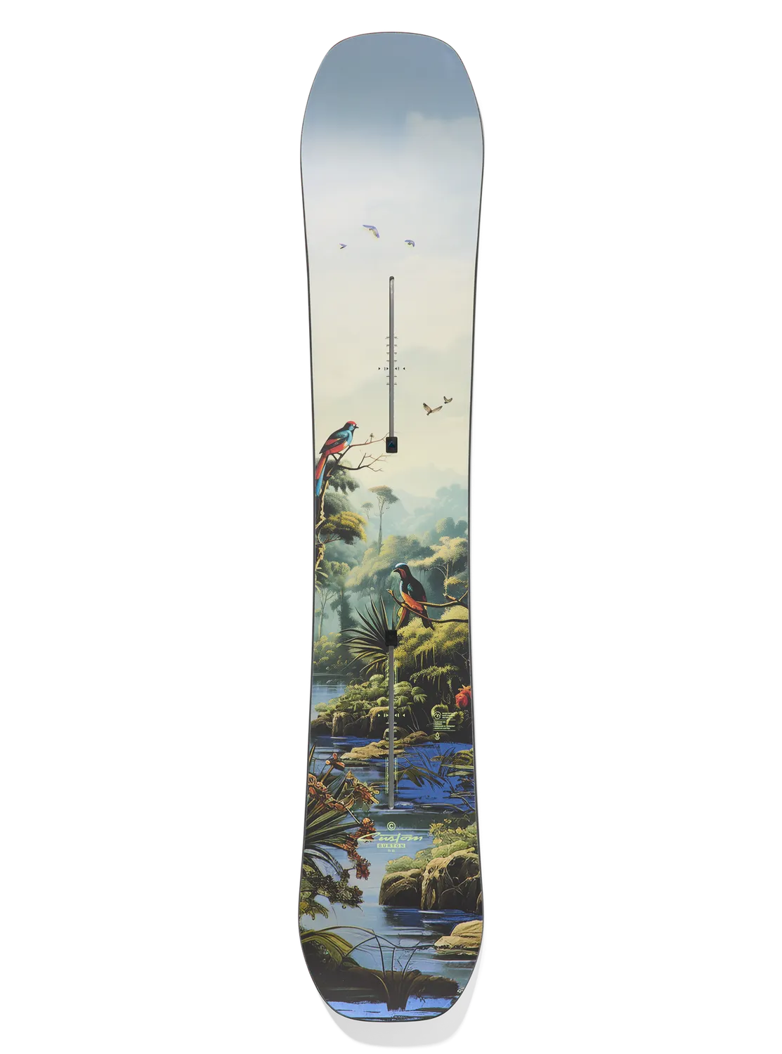 Burton Custom Camber snowboard 154 Faded allround