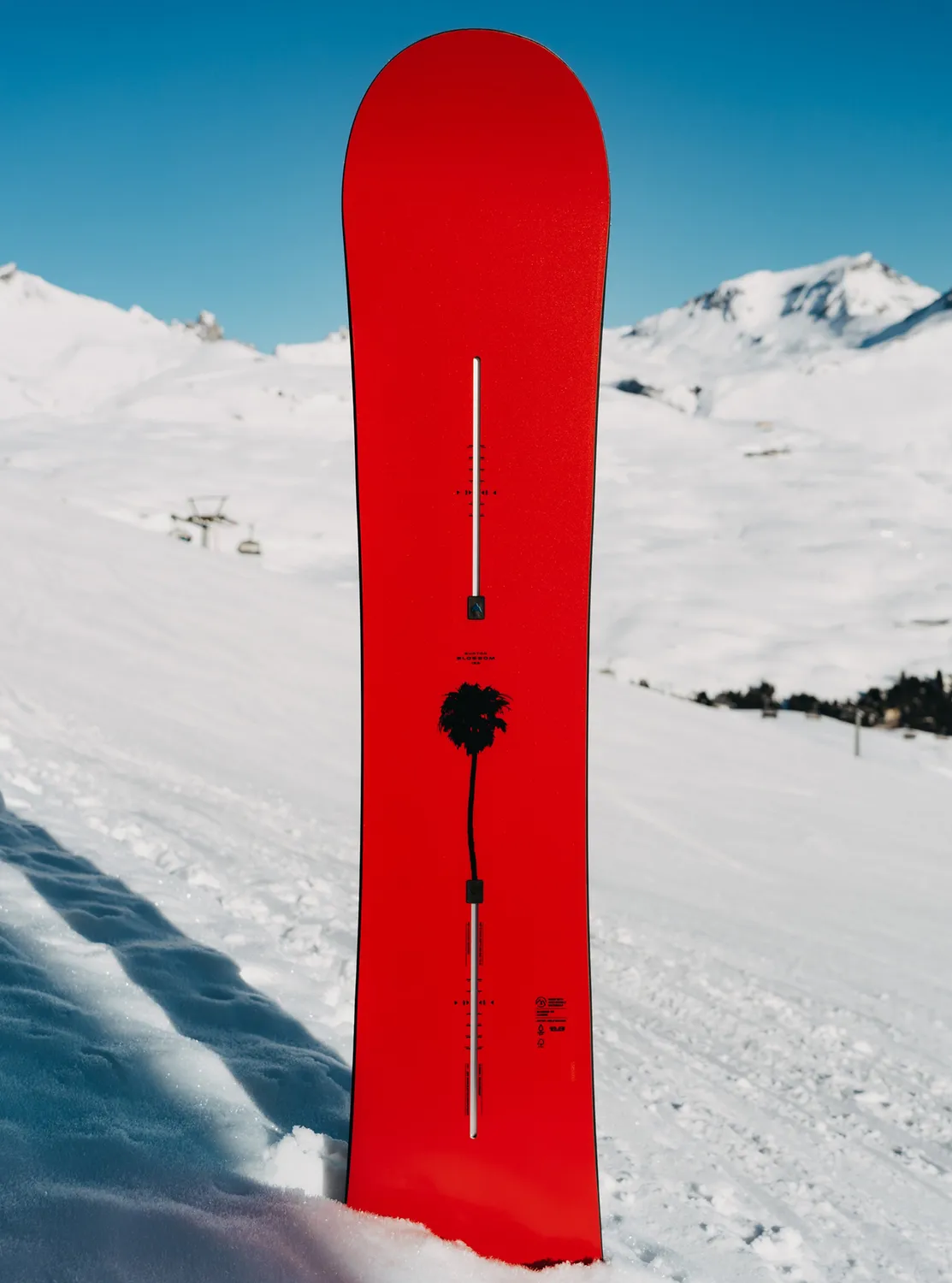 Burton Blossom Camber snowboard 155 Cherry Blossom twin