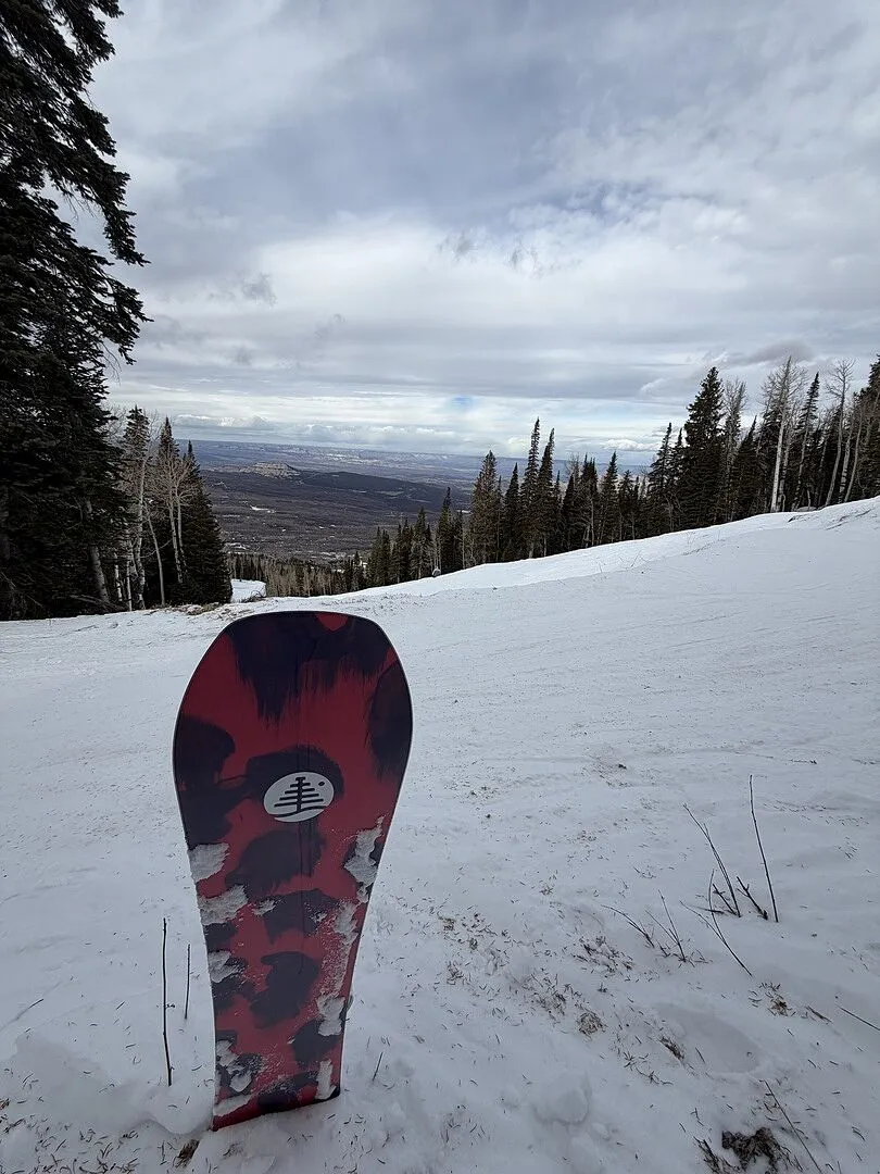 Burton Family Tree Hometown Hero snowboard Earth camber 156