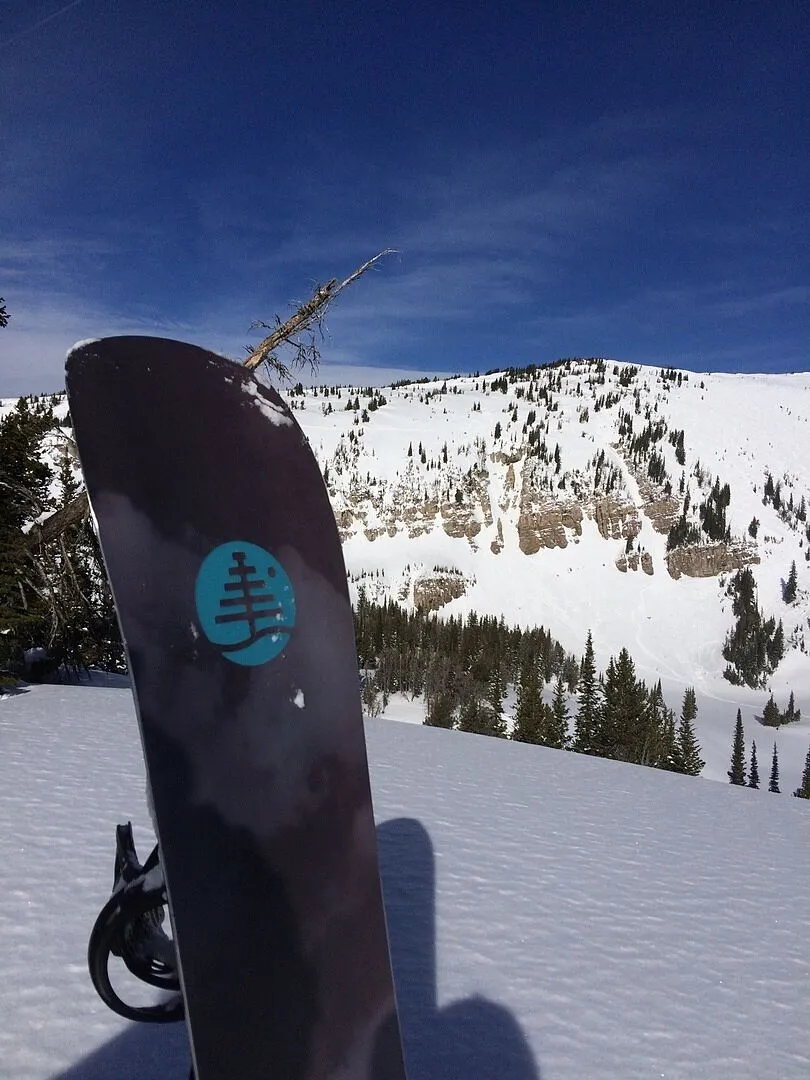 Burton Driver X snowboardboots herr svart styv respons