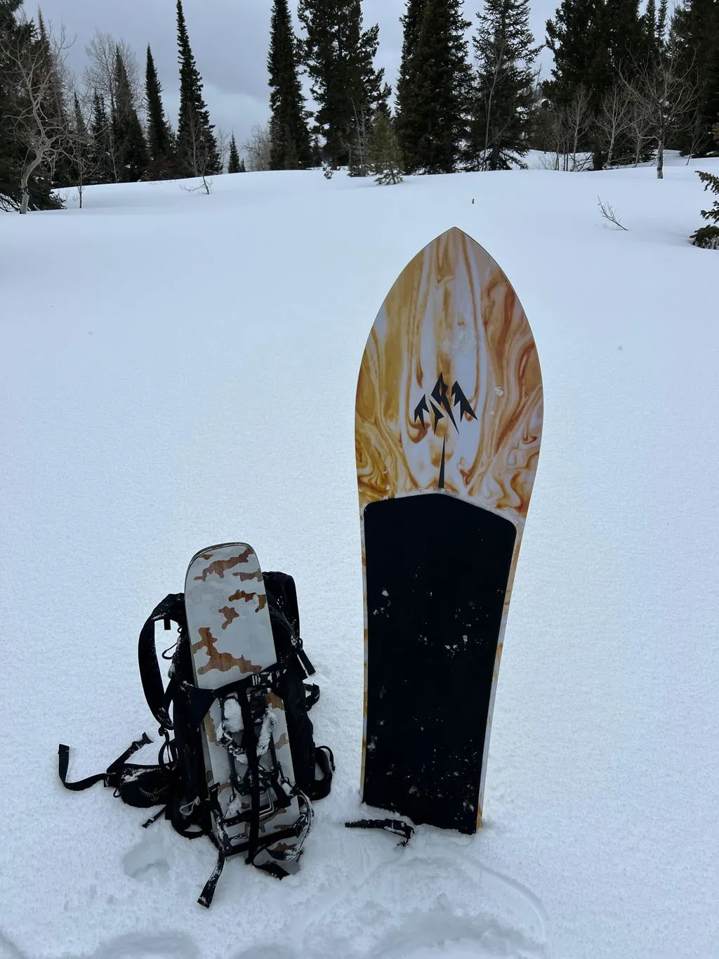 Jones Mountain Surfer powsurf snowboard 142 utan bindning