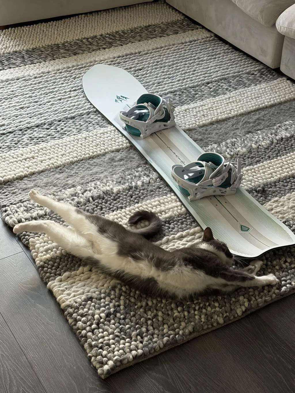 Jones Stratos snowboard 159 allmountain freeride